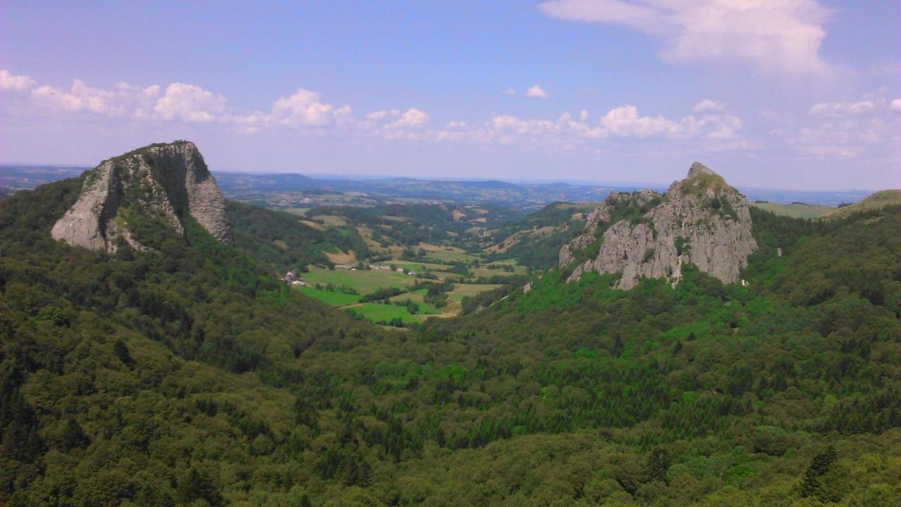 Tulipe, Appartement 5 Personnes, Entre Sancy Et Volcans D'Auvergne Орсіваль Екстер'єр фото