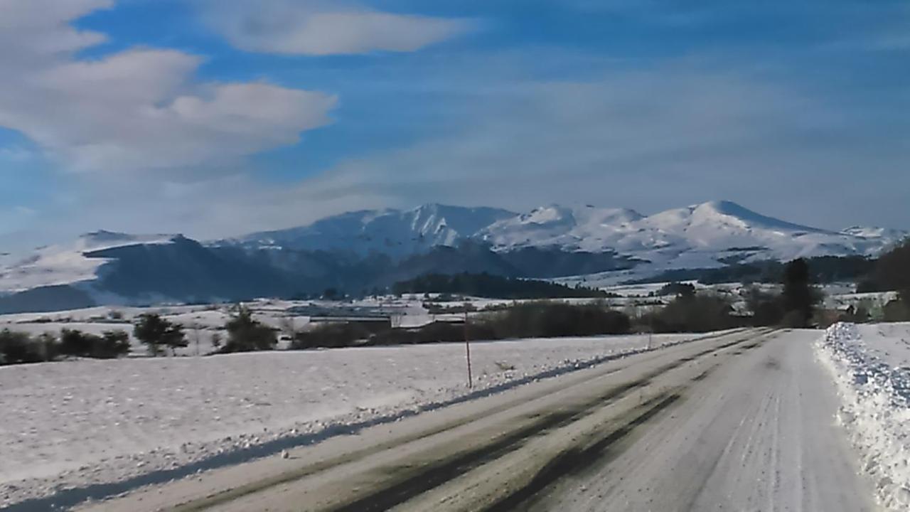 Tulipe, Appartement 5 Personnes, Entre Sancy Et Volcans D'Auvergne Орсіваль Екстер'єр фото