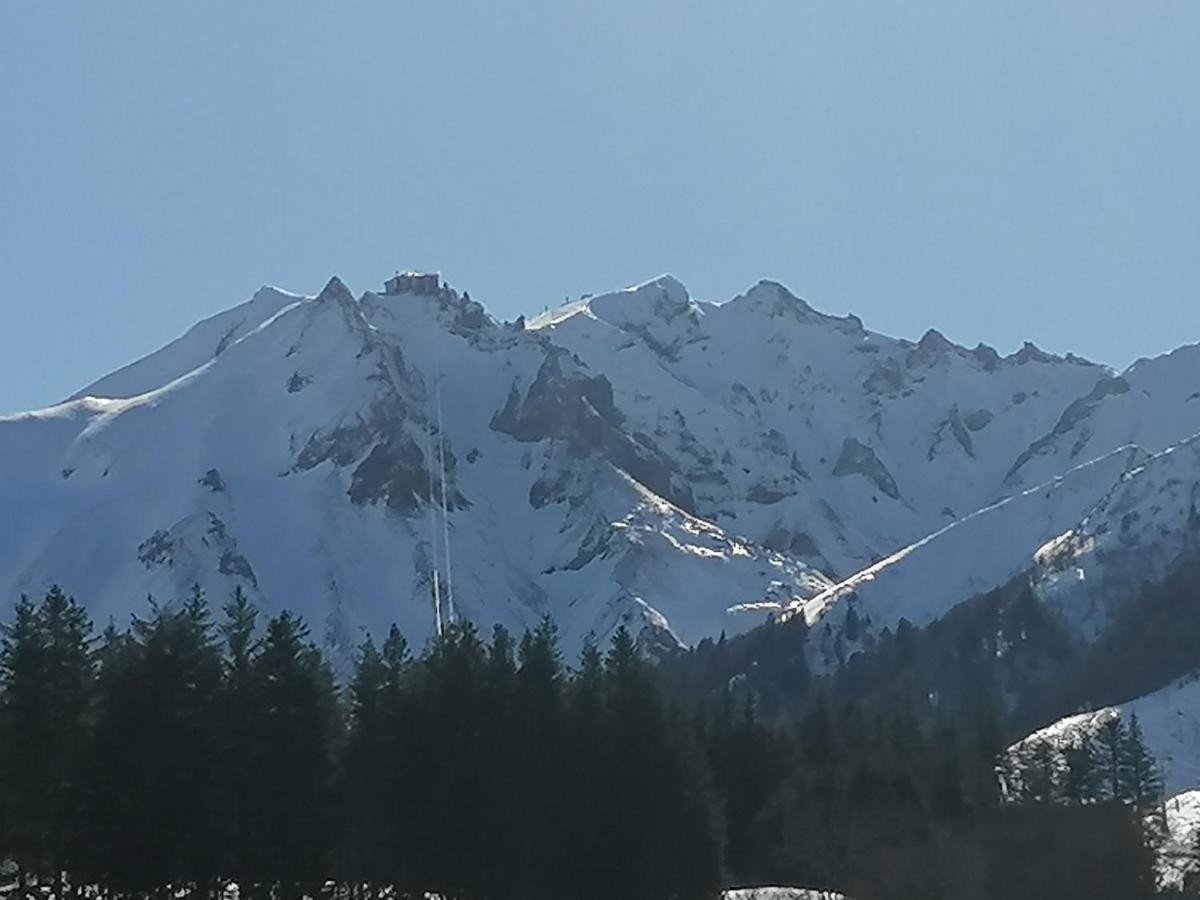 Tulipe, Appartement 5 Personnes, Entre Sancy Et Volcans D'Auvergne Орсіваль Екстер'єр фото