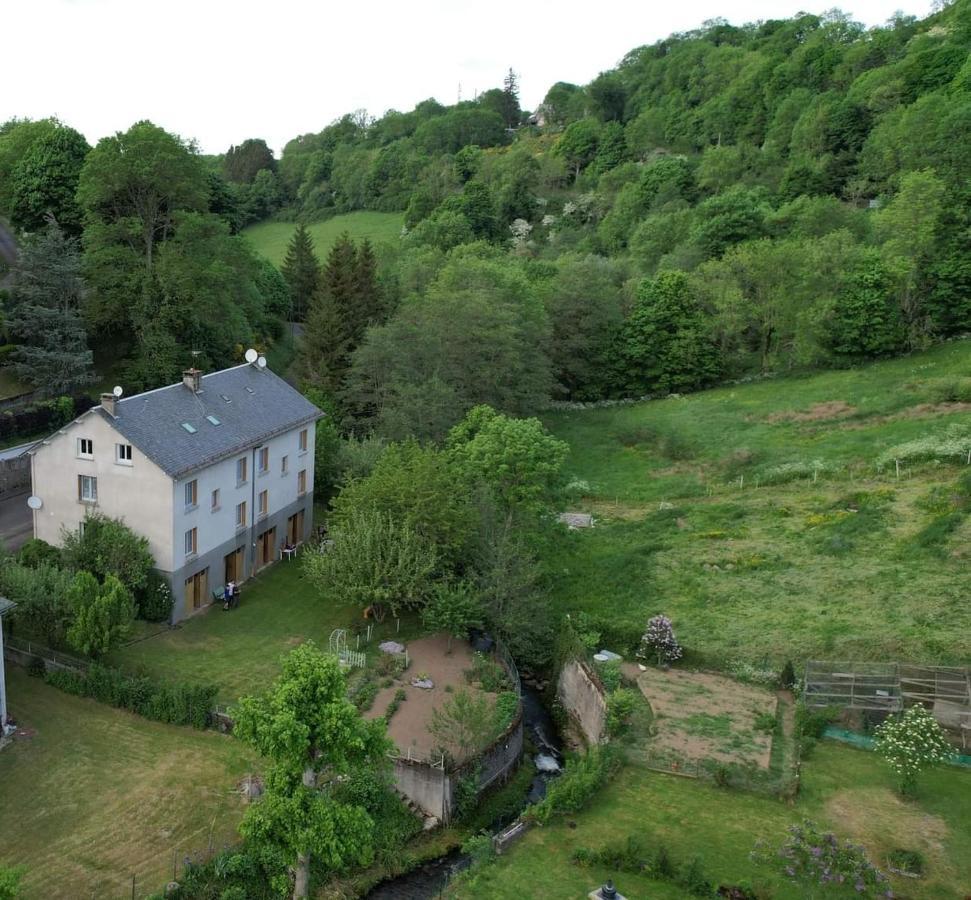 Tulipe, Appartement 5 Personnes, Entre Sancy Et Volcans D'Auvergne Орсіваль Екстер'єр фото