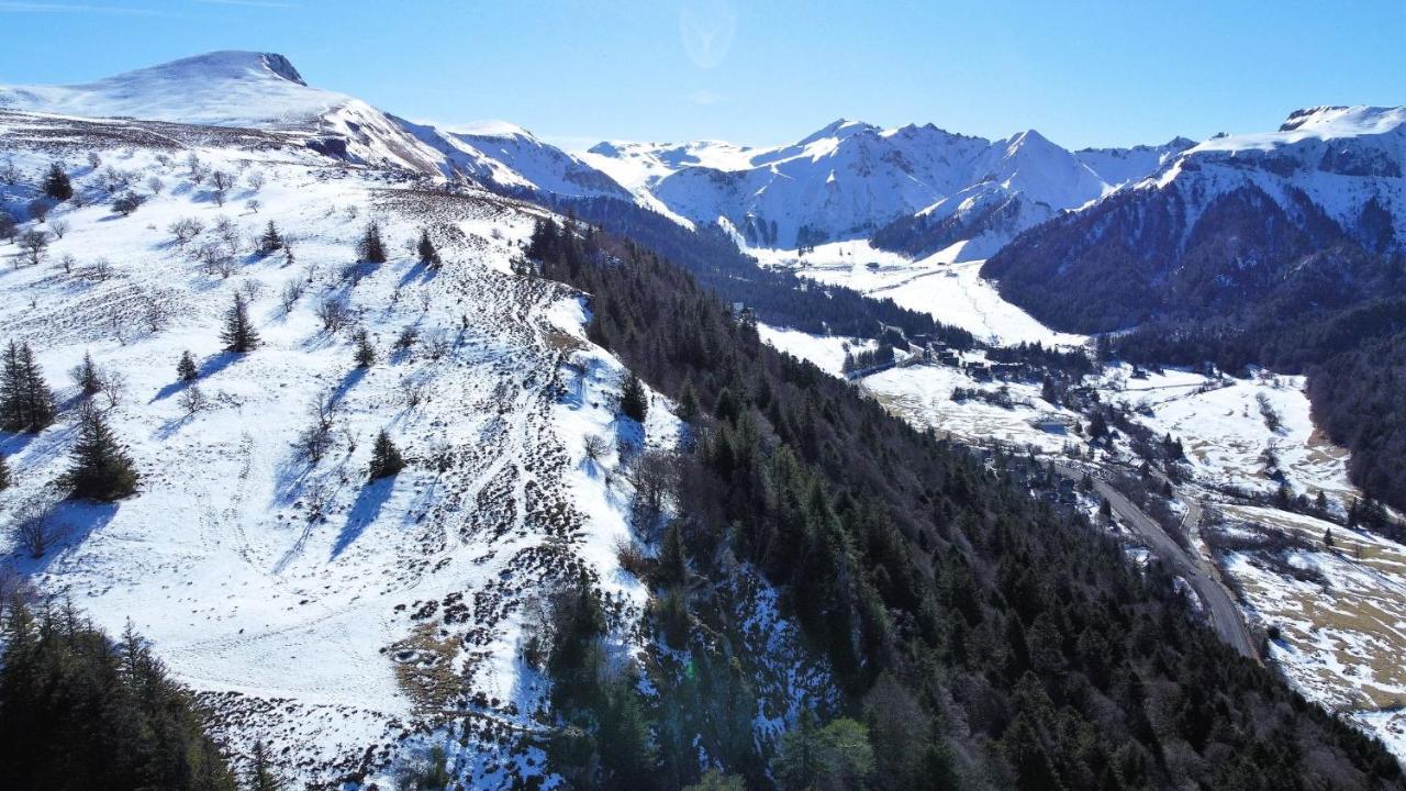 Tulipe, Appartement 5 Personnes, Entre Sancy Et Volcans D'Auvergne Орсіваль Екстер'єр фото