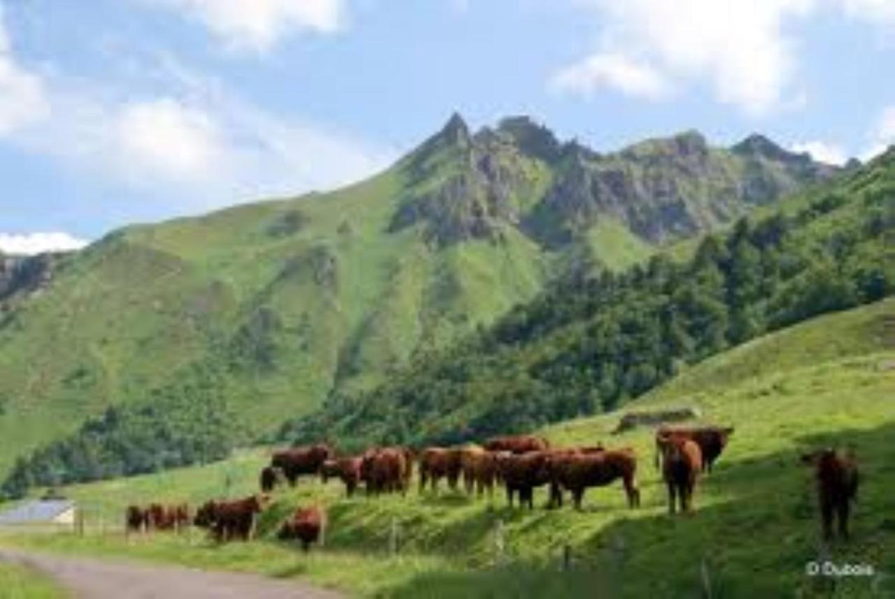 Tulipe, Appartement 5 Personnes, Entre Sancy Et Volcans D'Auvergne Орсіваль Екстер'єр фото