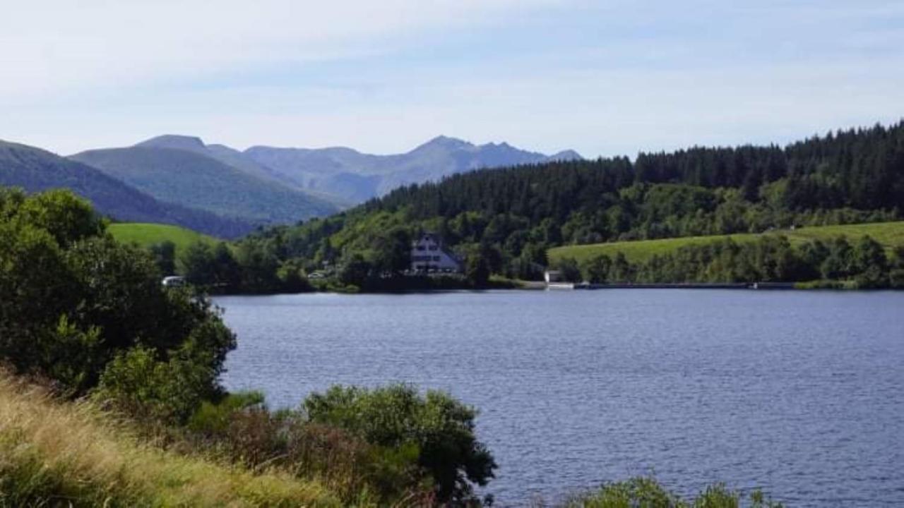 Tulipe, Appartement 5 Personnes, Entre Sancy Et Volcans D'Auvergne Орсіваль Екстер'єр фото
